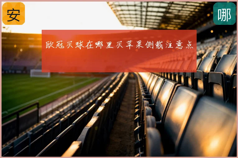 欧冠买球在哪里买苹果侧载注意点