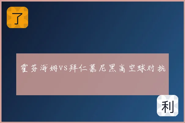 霍芬海姆vs拜仁慕尼黑高空球对抗