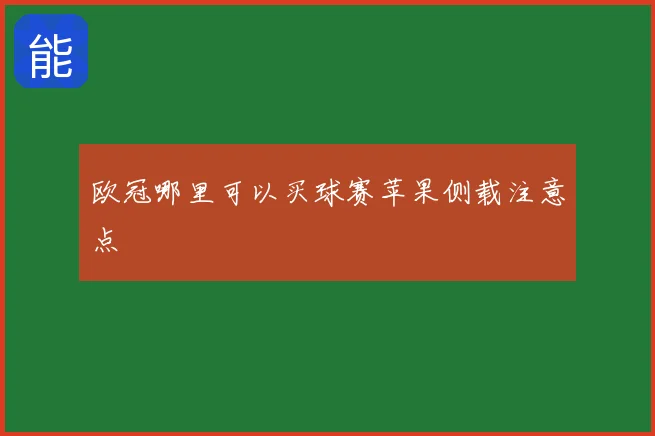 欧冠哪里可以买球赛苹果侧载注意点