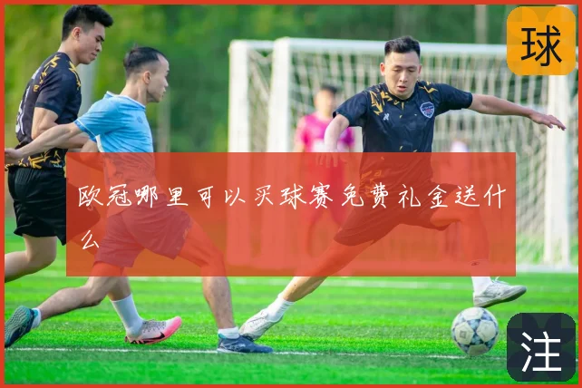 欧冠哪里可以买球赛免费礼金送什么